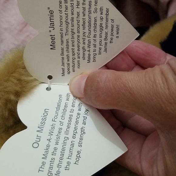 Make a Wish Bear and extras Plush bundle of 3 - Picture 7 of 13